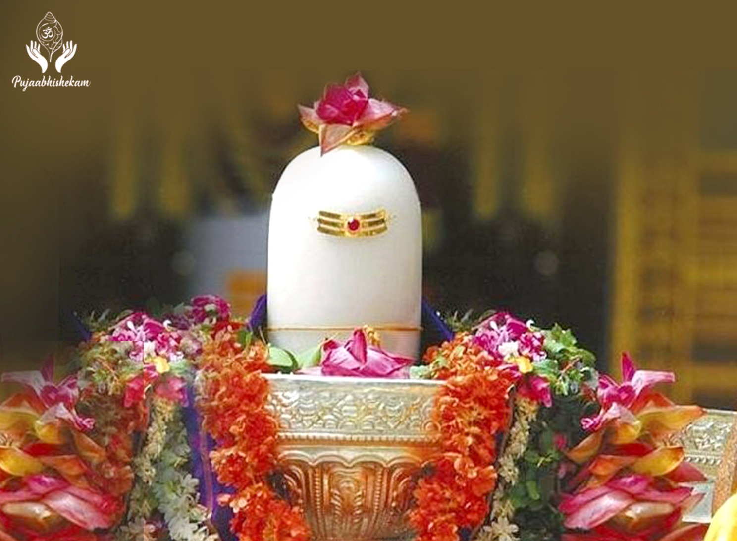 Puja at Maha Mrityunjay Temple
