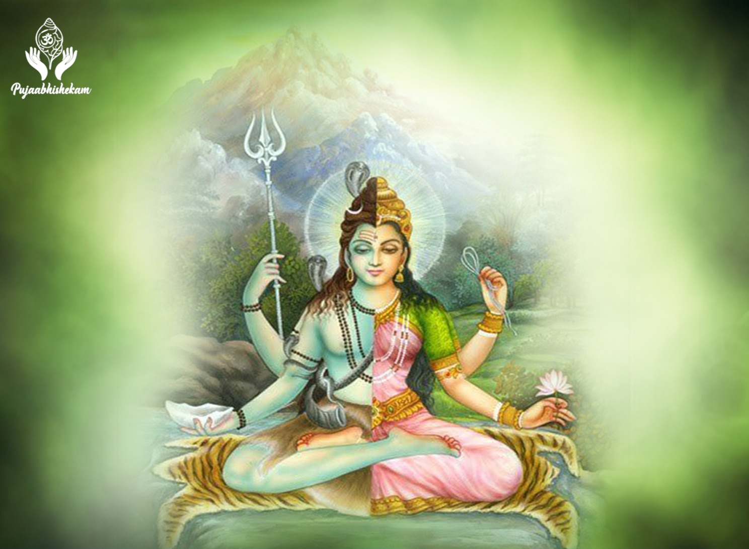 Shiva Shakti Puja