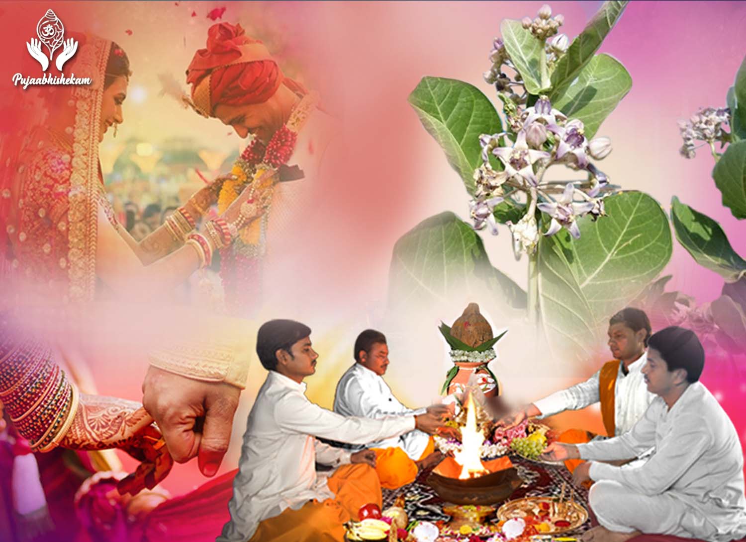 Ark Vivah