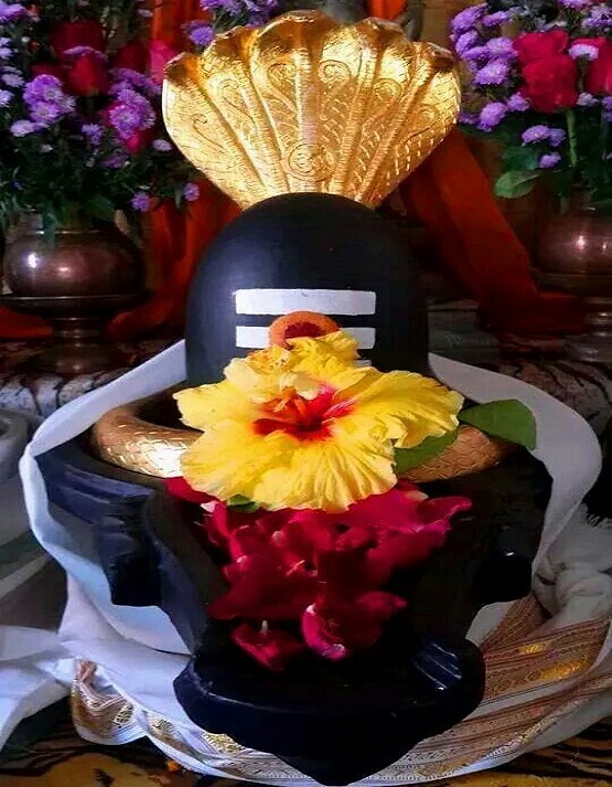Rudrabhishek
