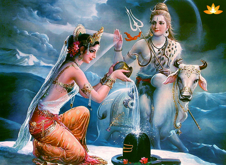 What do you mean by Kokila Vrat?